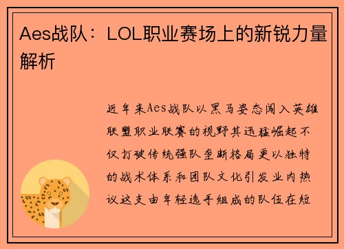 Aes战队：LOL职业赛场上的新锐力量解析